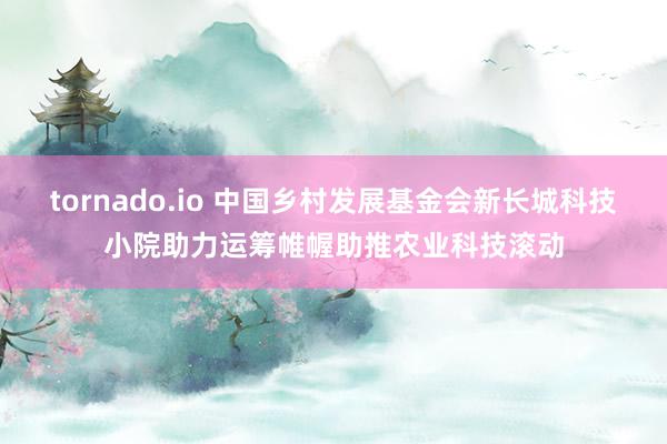 tornado.io 中国乡村发展基金会新长城科技小院助力运筹帷幄助推农业科技滚动